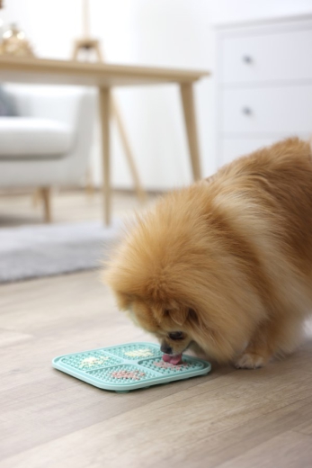 Schleckmatte Hund oder Katze