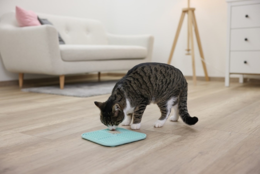 Schleckmatte Hund oder Katze