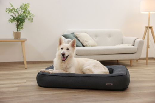 Kuschelbett Hund Platin Ortho