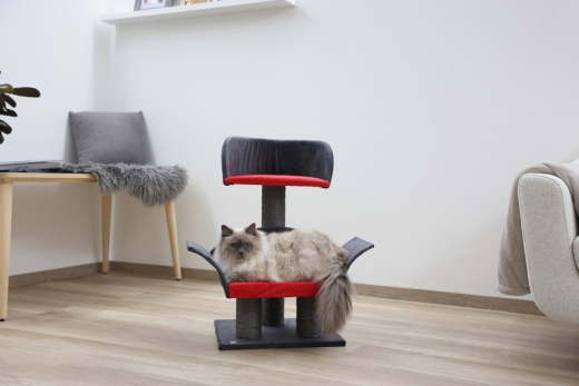 Kratzbaum Katzenkratzbaum Lounge Deluxe